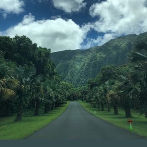 Meet your Posher, Diana